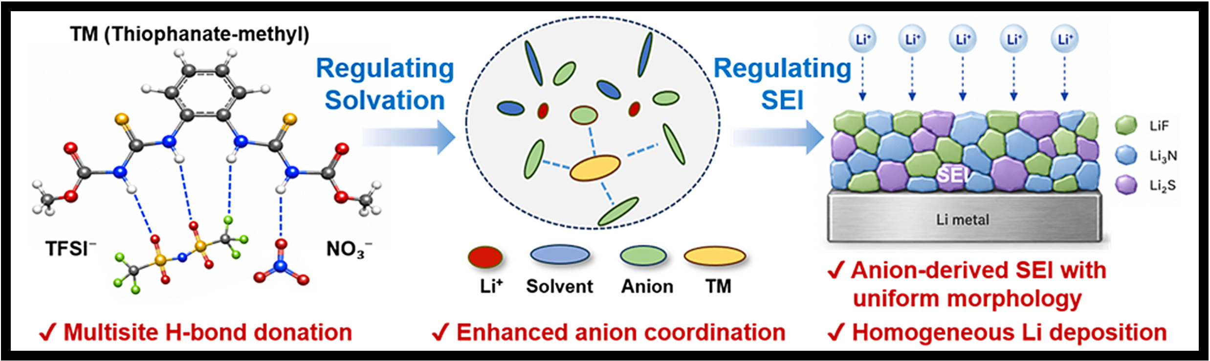 Thiophanate-methyl regulates lithium solvation through hydrogen bonding and promotes an anion-derived SEI